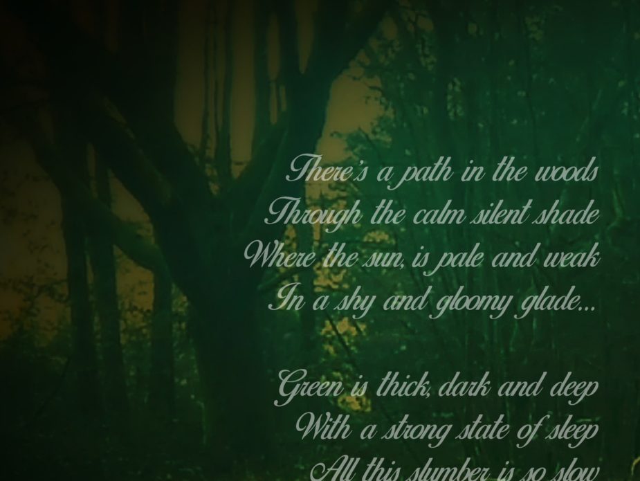 Solitary Woods-webversion